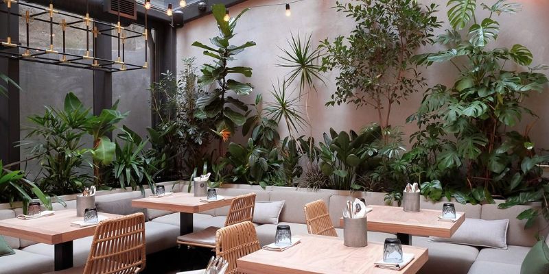 Dự án website giới thiệu quán cafe